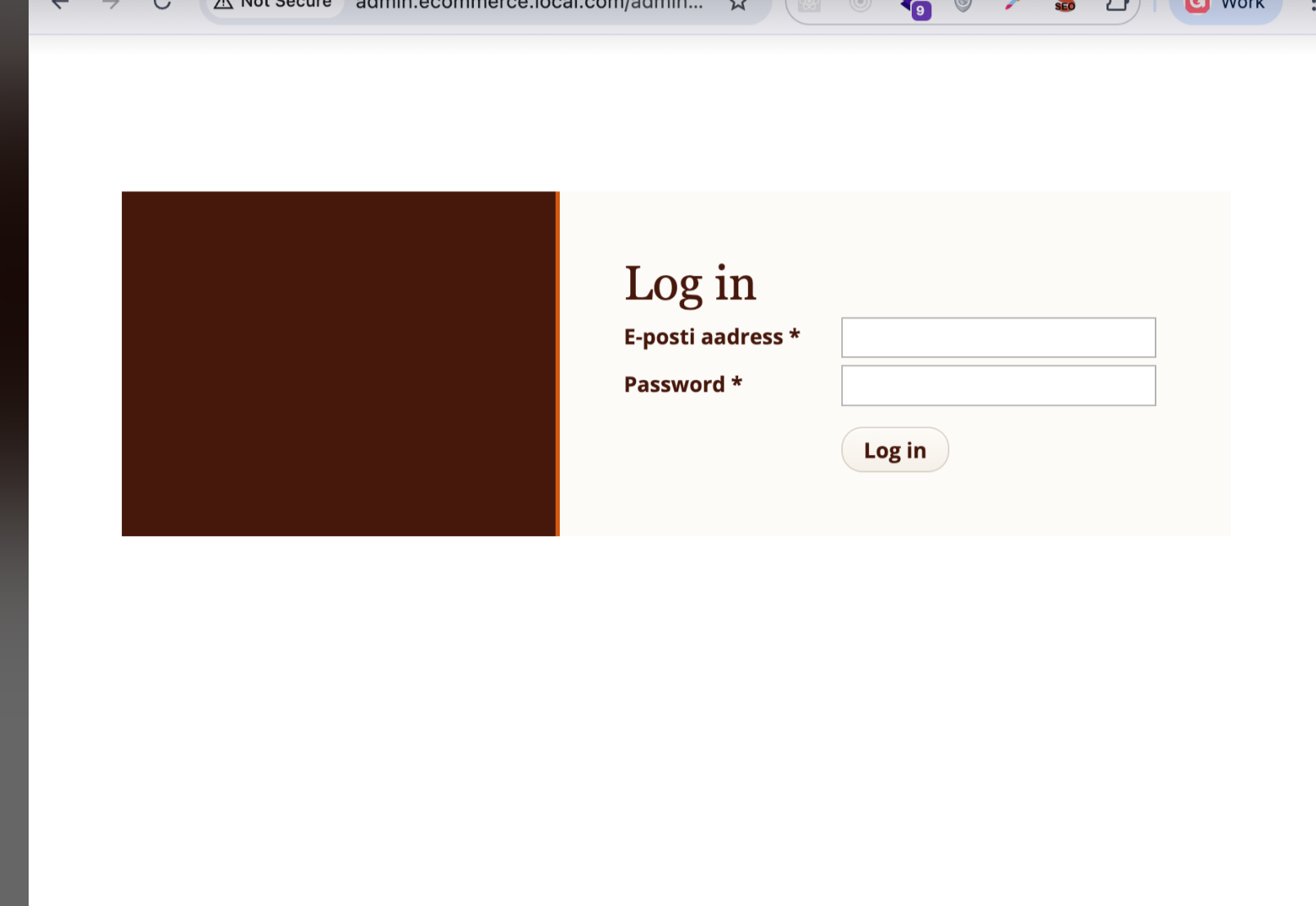 Login Flow